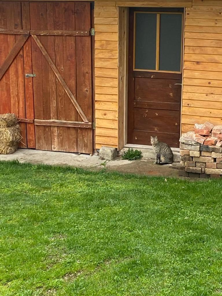 Farma 2 Guest House Cazin Exterior photo